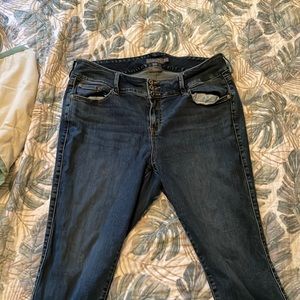 Torrid jeggings cropped